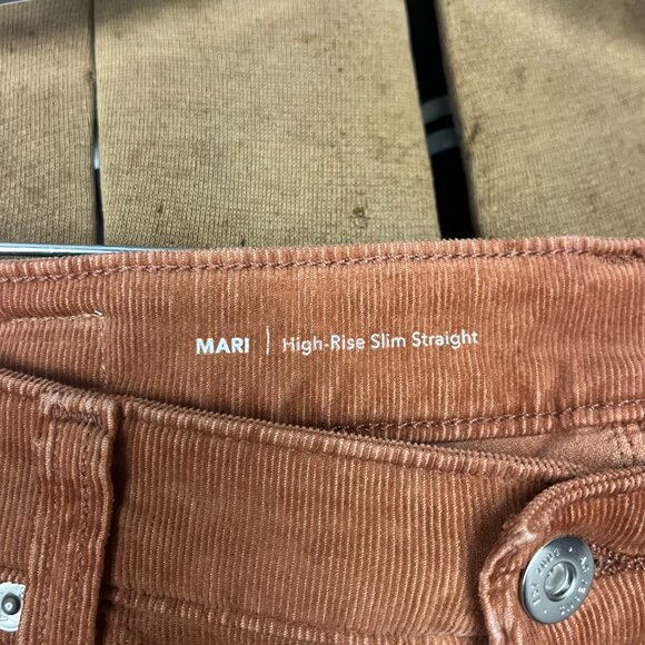 AG Denim AG-ED Corduroy Pants - Straight Leg, Medium Brown/Camel Color - Picture 3 of 9